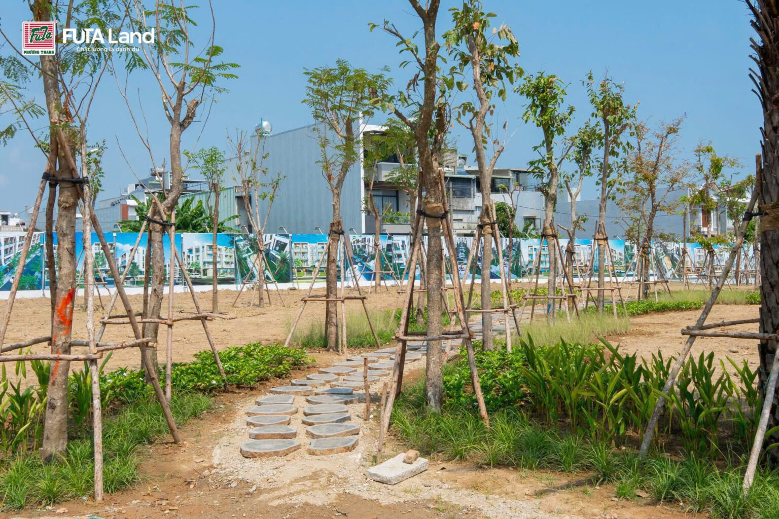 Ảnh thục tế dự án 6